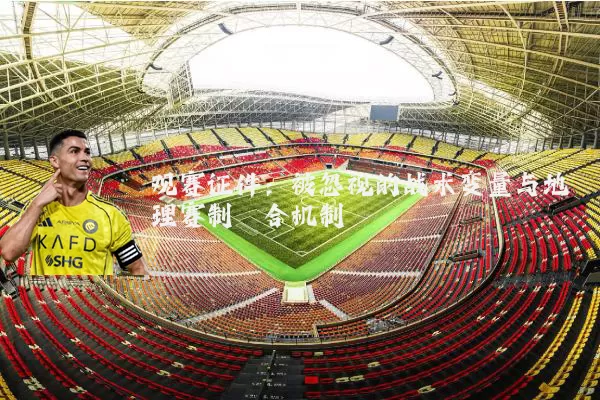 观赛证件：被忽视的战术变量与地理赛制耦合机制